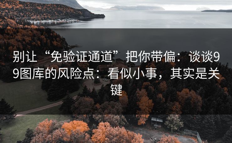 别让“免验证通道”把你带偏：谈谈99图库的风险点：看似小事，其实是关键