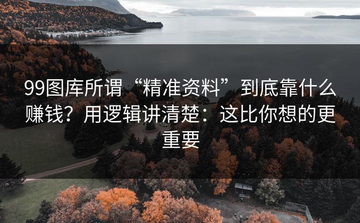 99图库所谓“精准资料”到底靠什么赚钱？用逻辑讲清楚：这比你想的更重要