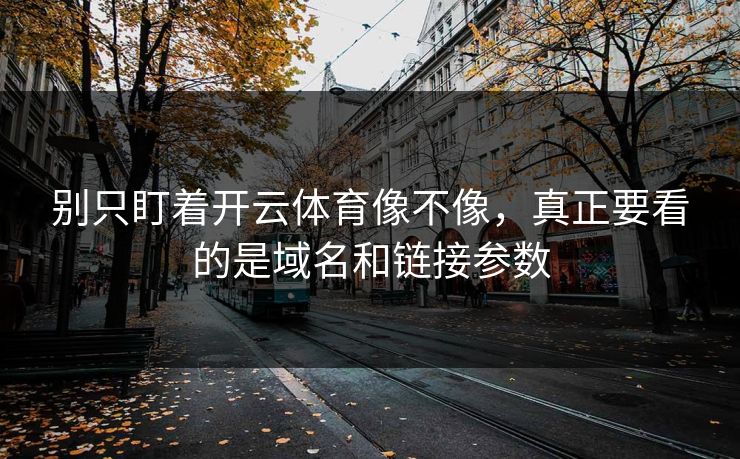 别只盯着开云体育像不像，真正要看的是域名和链接参数